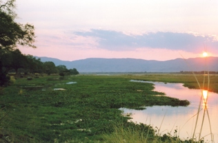 Mana Pools National Park